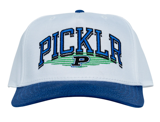 The Picklr Snapback Hat
